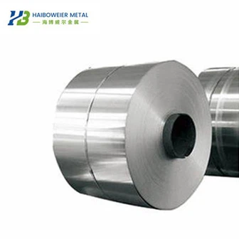 สายพานนิกเกิลบริสุทธิ์ N6