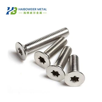 สลักเกลียวไทเทเนียม Torx